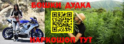 спиды Новокубанск