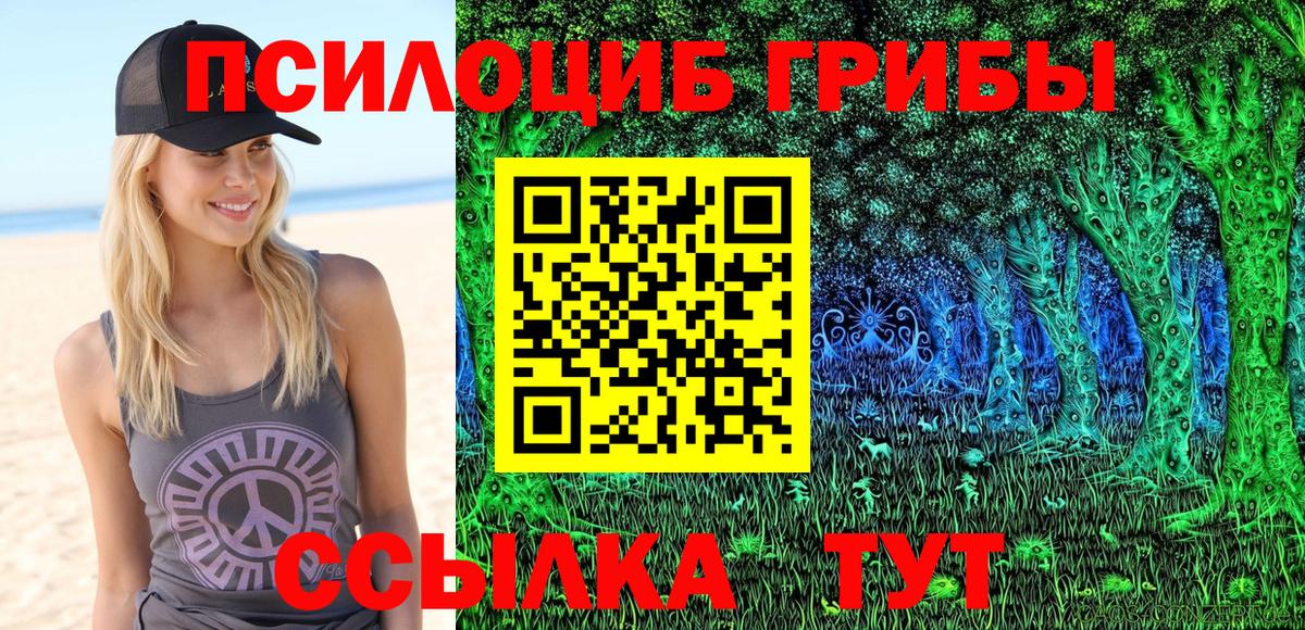 Галлюциногенные грибы Psilocybe Заринск