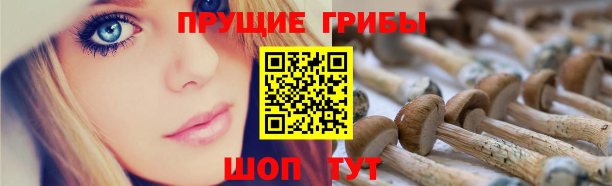 Заринск  Псилоцибиновые грибы Psilocybe  Вход с VPN  Псилоцибиновые грибы мухоморы 